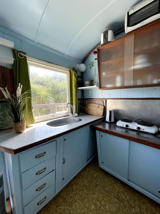 Fjordhytten. Rebuild Train Wagon From 1937. Lägenhet Odense Exteriör bild